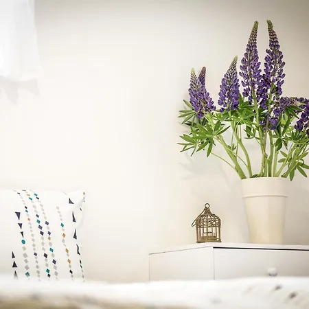 Haus Seematteli Apartment *